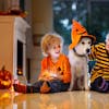 Two little boys and their dog dressed in halloween costumes sitting on the floor together