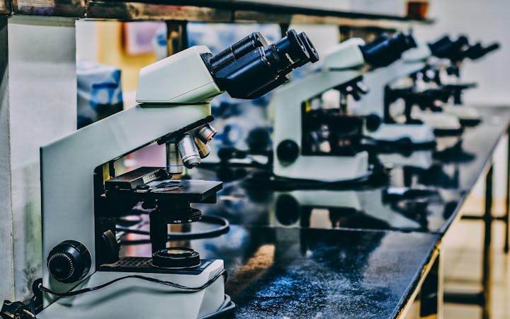 Set of microscopes lined up on a counter